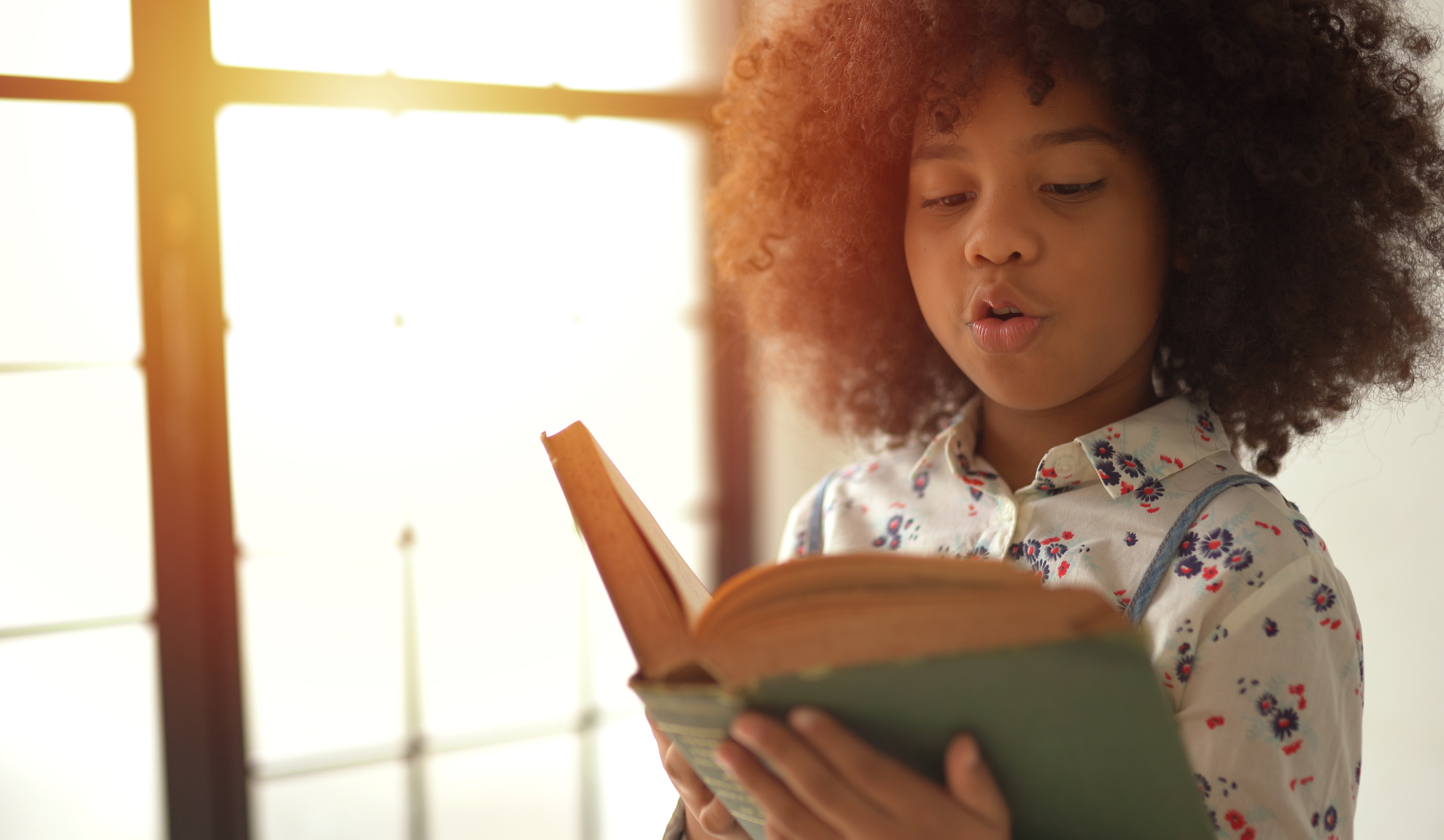 A student reading independently